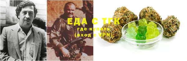 тгк Алзамай